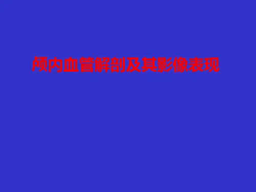 颅内血管解剖及其影像表现