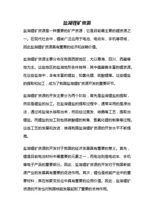 盐湖锂矿资源
