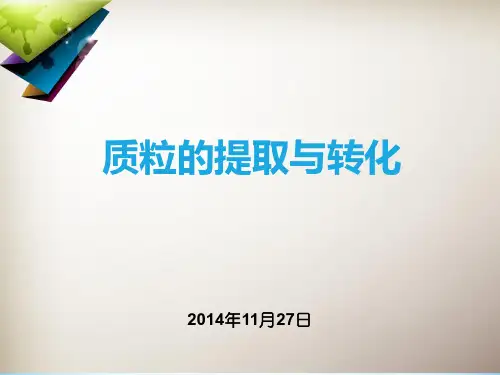质粒的提取与转化