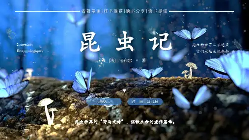 《昆虫记》好书推荐分享读后感悟PPT