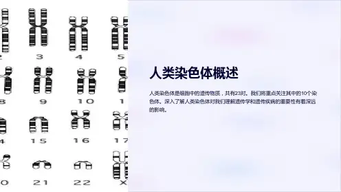 (医学遗传学)10人类染色体