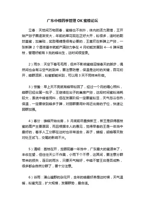 广东中蜂四季管理OK蜜蜂论坛
