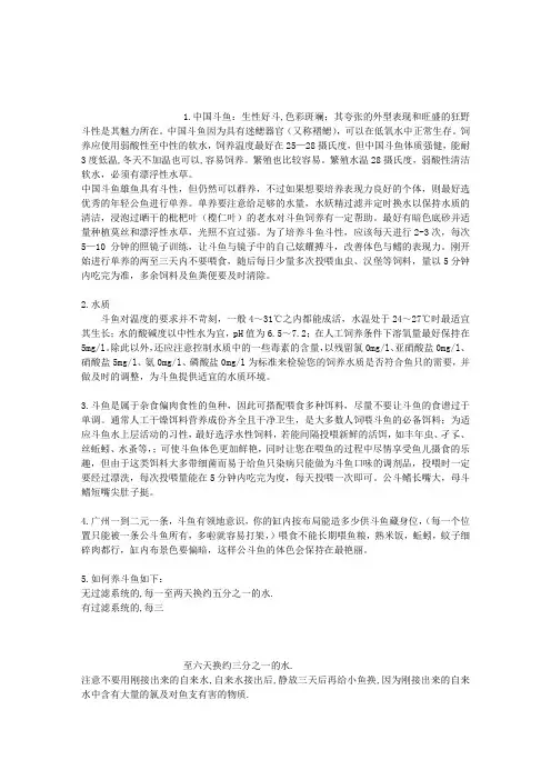 斗鱼喂养指南