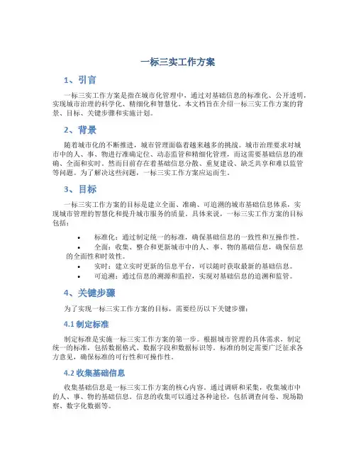一标三实工作方案