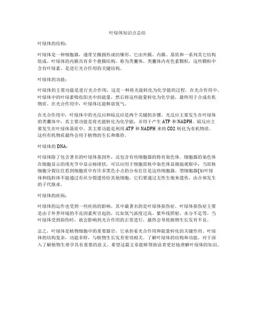 叶绿体知识点总结