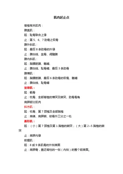 肌肉起止点