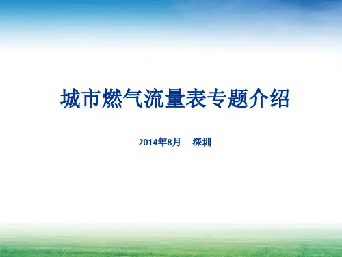 城市燃气流量表专题介绍140806