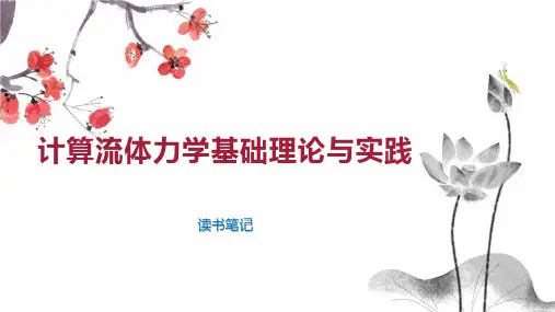 计算流体力学基础理论与实践