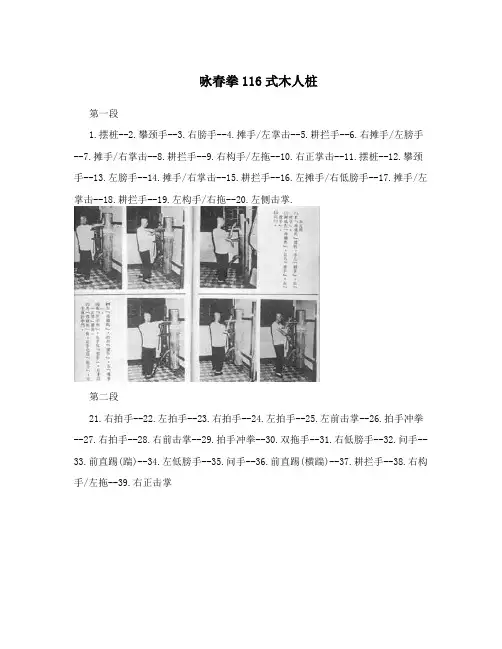 咏春拳116式木人桩