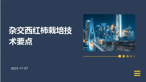 杂交西红柿栽培技术要点