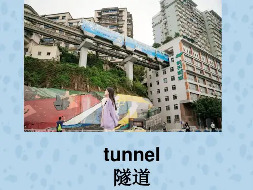 新概念英语第二册Lesson64The+Channel+Tunnel+课件