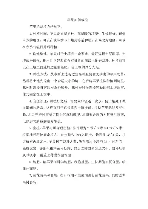 苹果如何栽植