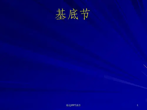 基底节ppt课件