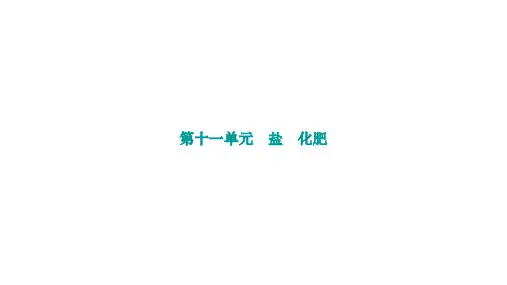 九年级化学一轮复习第十一单元 盐 化肥