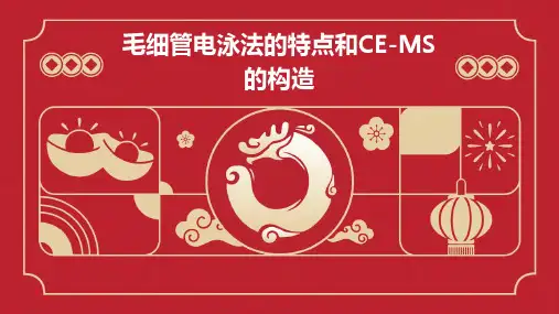 毛细管电泳法的特点和CE-MS的构造