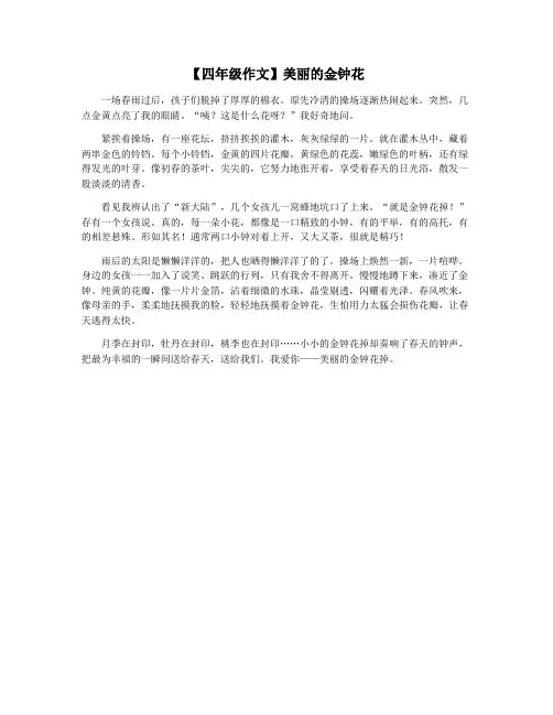 【四年级作文】美丽的金钟花