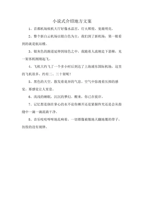 小说式介绍地方文案