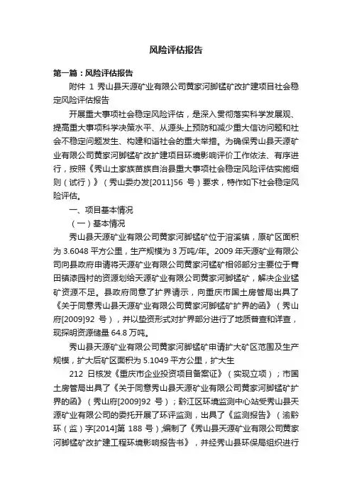 风险评估报告
