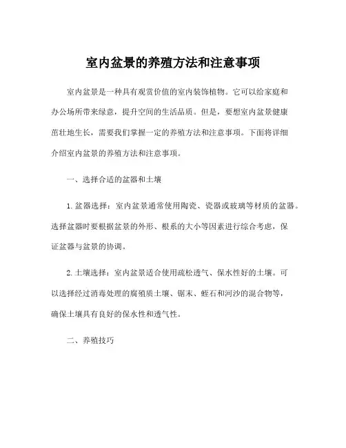 室内盆景的养殖方法和注意事项
