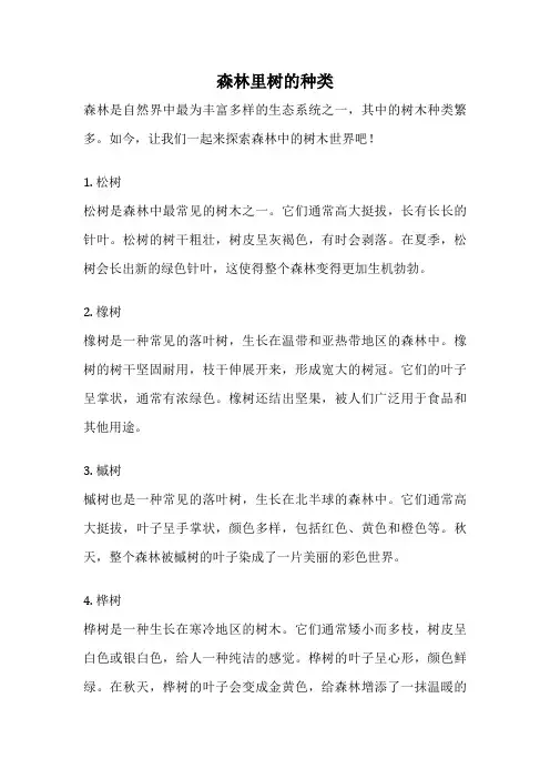 森林里树的种类