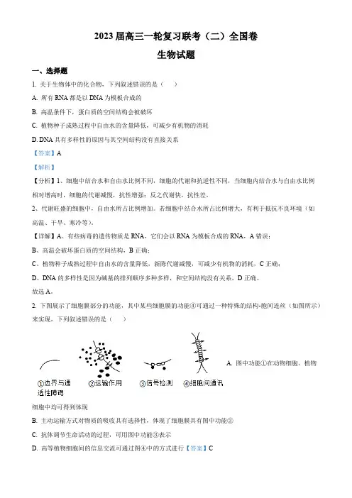 2022-2023学年河南省安阳市一中高三上学期第二次月考生物试卷带讲解