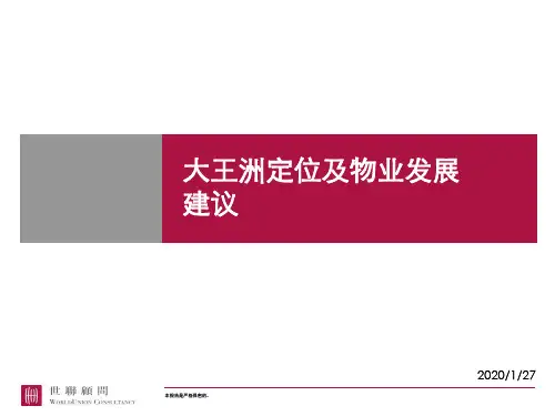 东莞大王洲项目战略发展