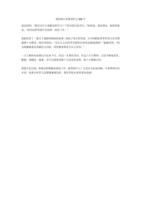 我的核心价值观作文300字全面版