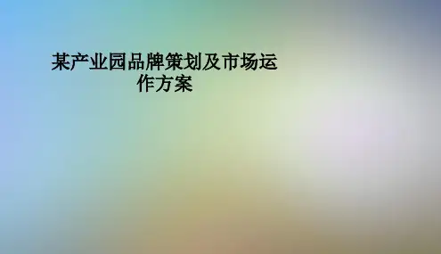某产业园品牌策划及市场运作方案