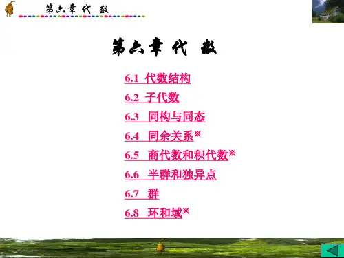第6章代数