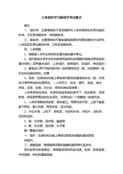 人体组织学与解剖学考试重点