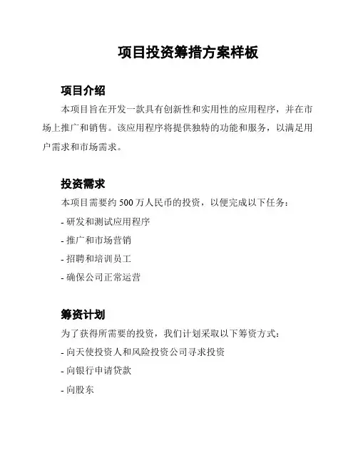 项目投资筹措方案样板