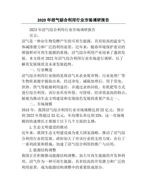2023年沼气综合利用行业市场调研报告