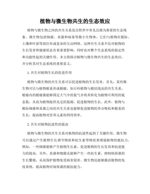 植物与微生物共生的生态效应