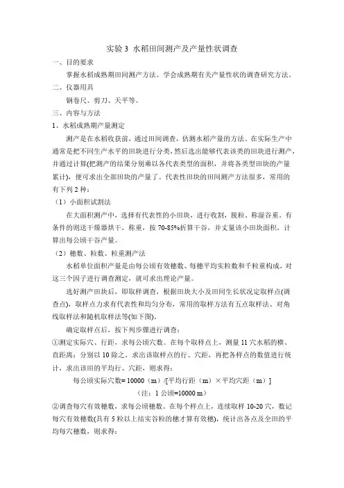 实验3 水稻田间测产及产量性状调查