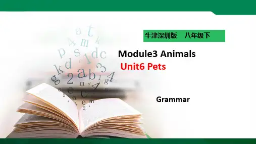 Module3 Animals Unit6 Pets Grammar(课件ppt)
