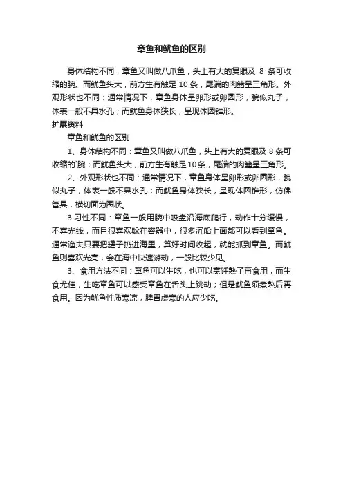 章鱼和鱿鱼的区别
