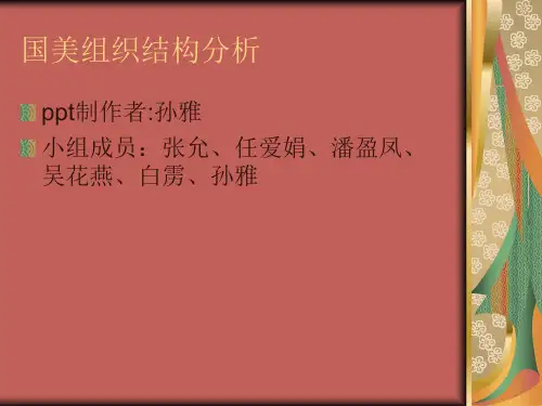 国美组织结构分析