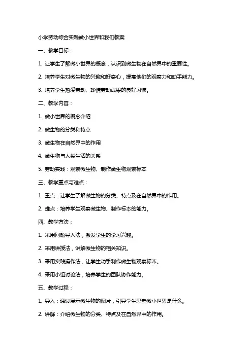 小学劳动综合实践微小世界和我们教案