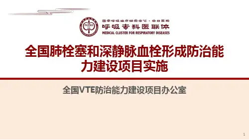 全国VTE防治能力建设项目实施规划