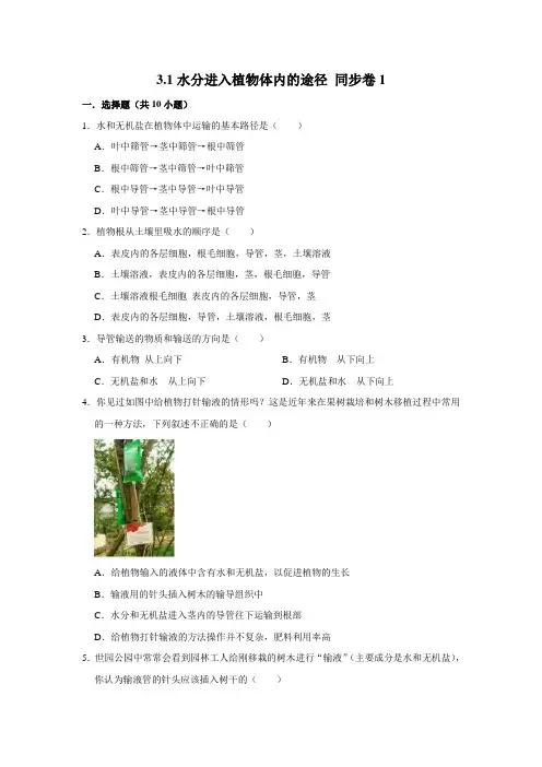 鲁科五四制版生物六年级下册水分进入植物体内的途径