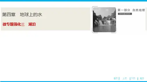高中地理总复习课件 微专题强化三 湖泊