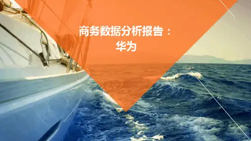 商务数据分析报告华为