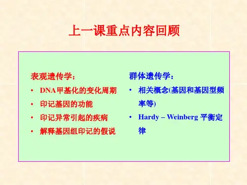 群体遗传学