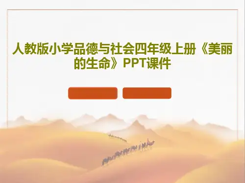 人教版小学品德与社会四年级上册《美丽的生命》PPT课件共15页