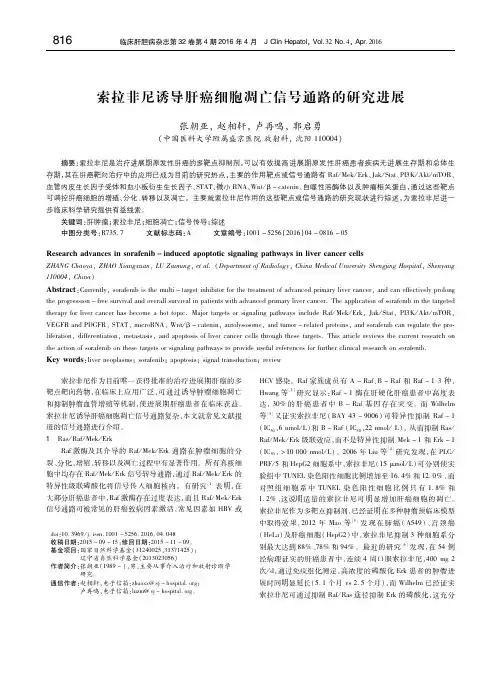 索拉非尼诱导肝癌细胞凋亡信号通路的研究进展 张朝亚