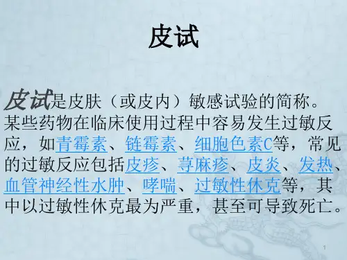 皮试PPT参考幻灯片