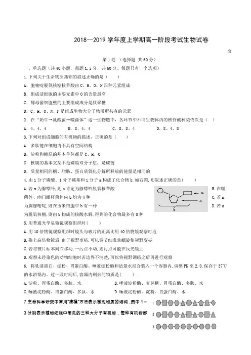 吉林省白城市第一中学2018-2019学年高一12月月考生物试题
