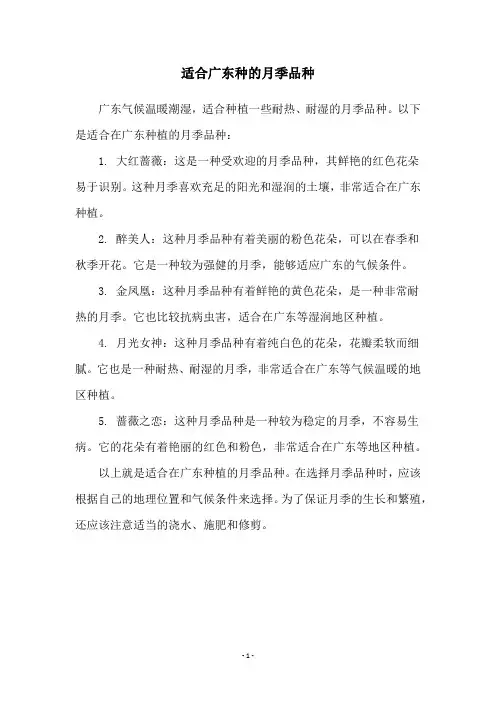 适合广东种的月季品种