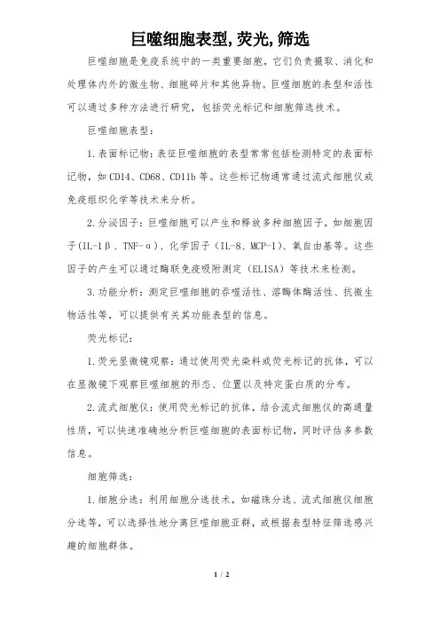 巨噬细胞表型, 荧光, 筛选