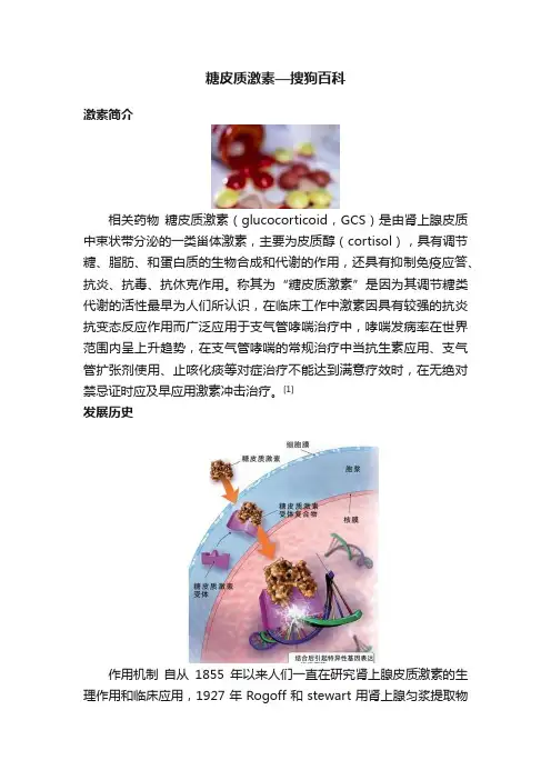 糖皮质激素—搜狗百科